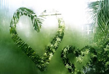 印第安纳步行者能否在新赛季重返季后赛？